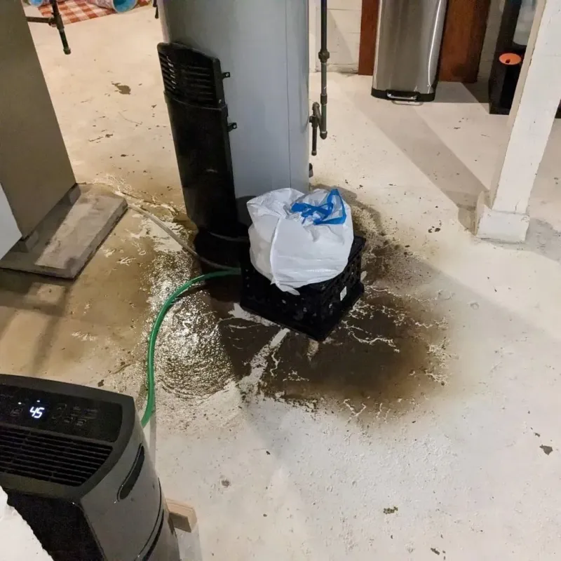 Sewage Backup Cleanup Service in Castlewood, CO